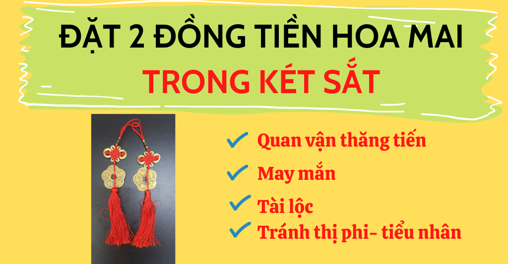 Nên đặt 2 đồng tiền hoa mai trong két sắt để kích hoạt tài lộc cho két sắt