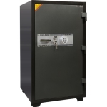 két sắt đông sung DS120E