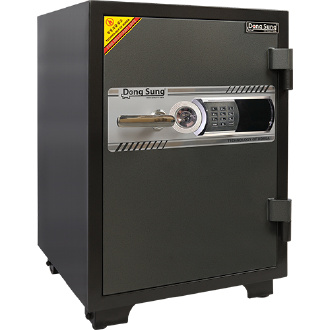 két sắt đông sung DS75E