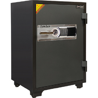 két sắt đông sung DS85E