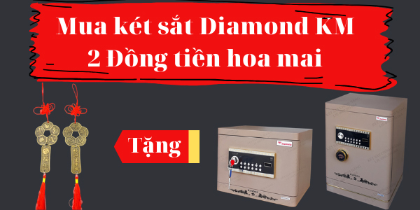 Mua két sắt diamond tặng đồng tiền hoa mai phong thủy