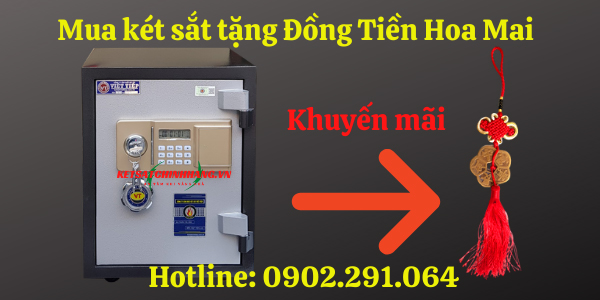 Mua két sắt tặng đồng tiền hoa mai
